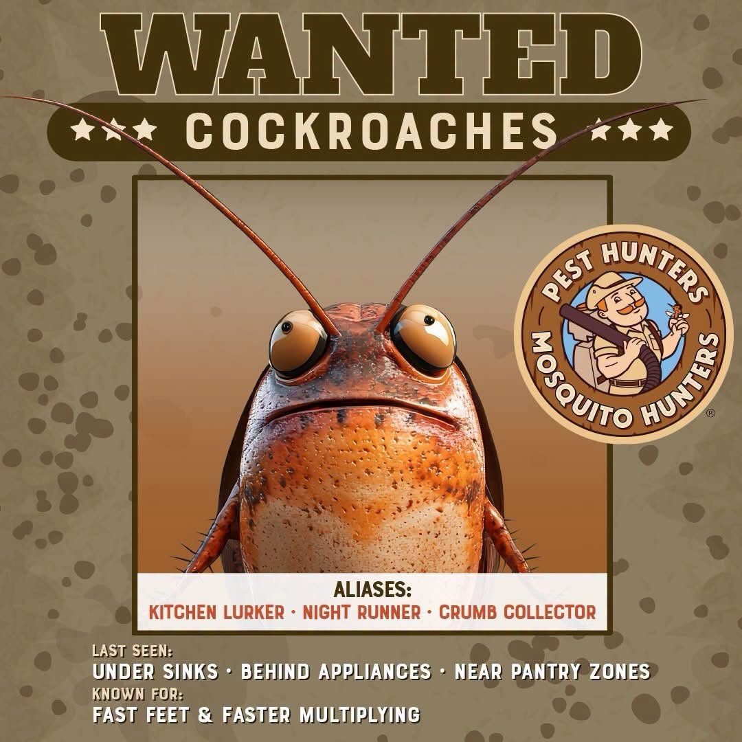 Mosquito Hunters of Cordova-Collierville-Germantown - Full Year of Indoor and Outdoor Pest Protection - Image 5